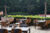 terras van brasserie de boerderij, met uitzicht op het sonsbeek park